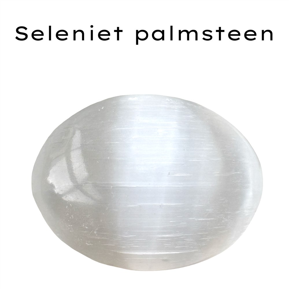 Seleniet palmsteen